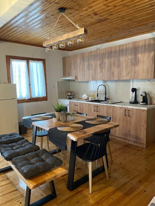 Apartmán Politis' Wooden House Vasilikí Exteriér fotografie