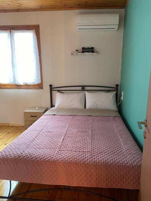 Apartmán Politis' Wooden House Vasilikí Exteriér fotografie