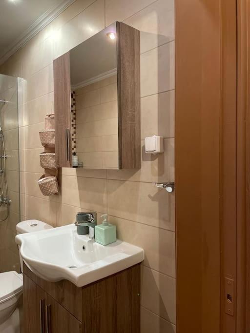 Apartmán Politis' Wooden House Vasilikí Exteriér fotografie